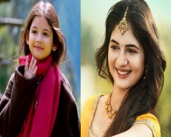 ৬৫ বছরের নায়কের সঙ্গে পর্দায় ফিরছেন সেই মুন্নি