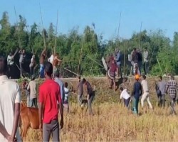 ছাতকে জমি নিয়ে বিরোধ : দুই গ্রামের সংঘর্ষে আহত অন্তত ১৫