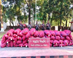 সীমান্তে বিজিবির অভিযানে বিপুল পরিমাণ ভারতীয় পেঁয়াজ ও টমেটো জব্দ