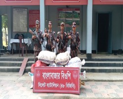 সিলেট সীমান্তে বিজিবির অভিযানে ৪ কোটি টাকার চোরাচালানি পণ্য জব্দ, আটক ১