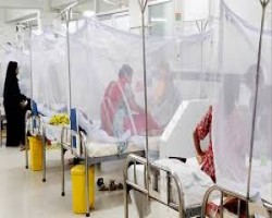 সিলেটে একদিনে ১৫ জন ডেঙ্গু রোগী শনাক্ত