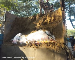 সিলেটে ডিবির অভিযানে ৩০ লাখ টাকার ভারতীয় জিরাসহ দুইজন গ্রেপ্তার