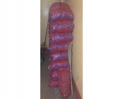 সিলেটে গোয়েন্দা পুলিশের অভিযানে ৫ লাখ টাকার ভারতীয় পেঁয়াজ জব্দ