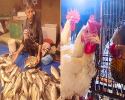 দেশি মুরগি ৬০০ রুই ৪০০, ব্রয়লারই এখন শেষ ভরসা!