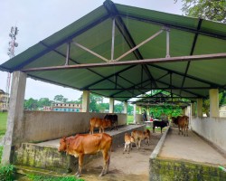 ১৭ বছরেও চালু হয়নি দোয়ারাবাজার গ্রোথ সেন্টার মার্কেট